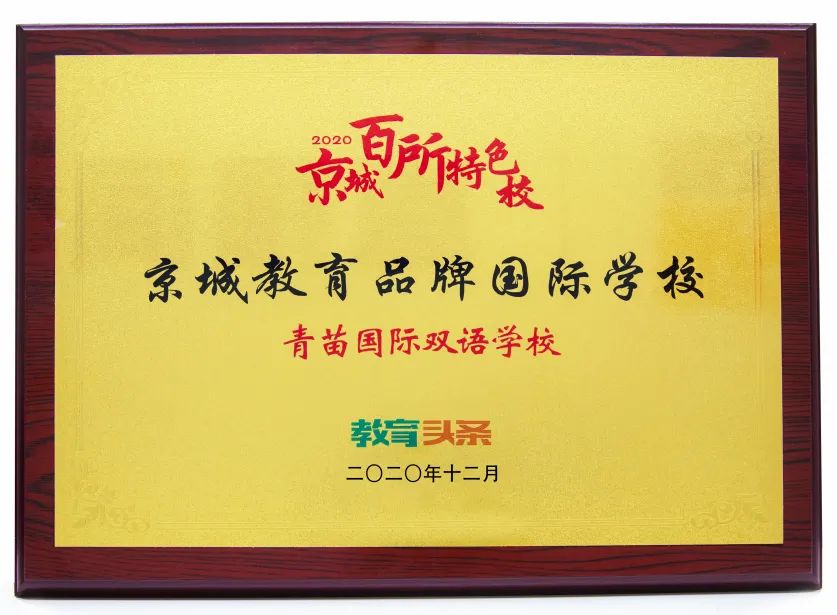 青苗赢绽2020，多项大奖再入囊中 2020 Awards of BIBS