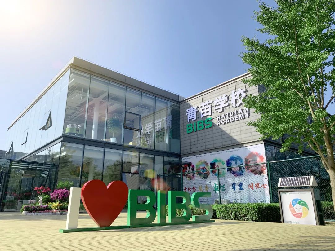 青苗赢绽2020，多项大奖再入囊中 2020 Awards of BIBS