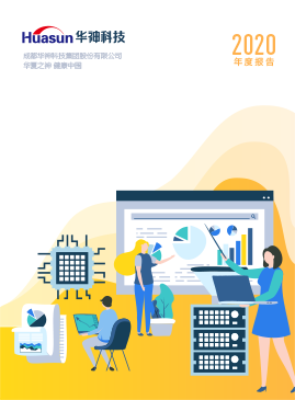 2020年度报告-华神科技