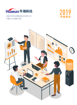 2019年度报告-华神科技