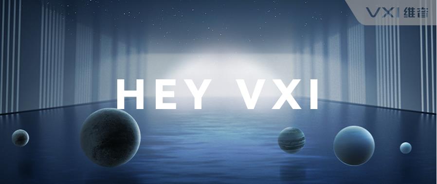 你好，新维音！