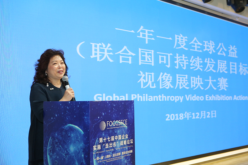 聚焦创新 共话“一带一路”建设五周年 ——第十七届中国企业实施“走出去”战略论坛平行论坛在京举行