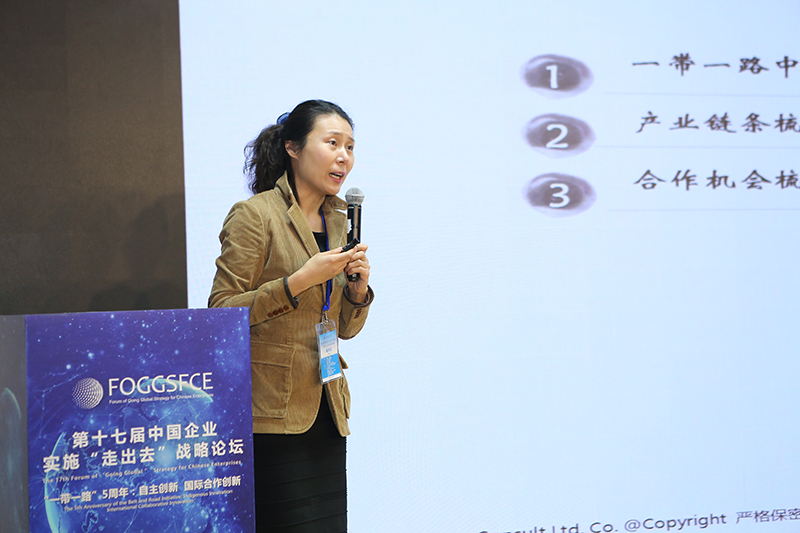 聚焦创新 共话“一带一路”建设五周年 ——第十七届中国企业实施“走出去”战略论坛平行论坛在京举行