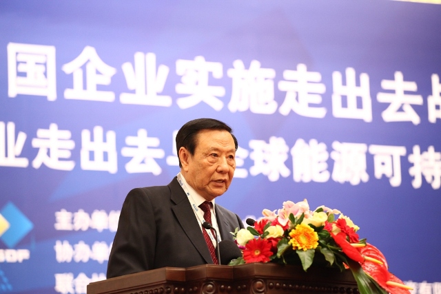 第十届中国企业实施走出去战略论坛成功举办