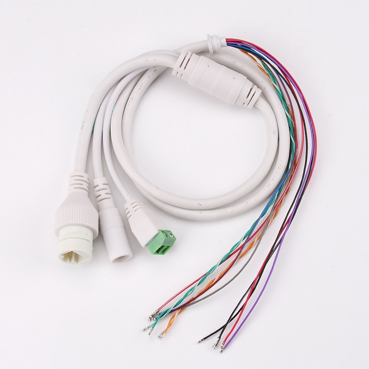 IPC network port power cord