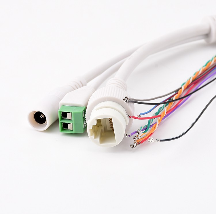 IPC network port power cord