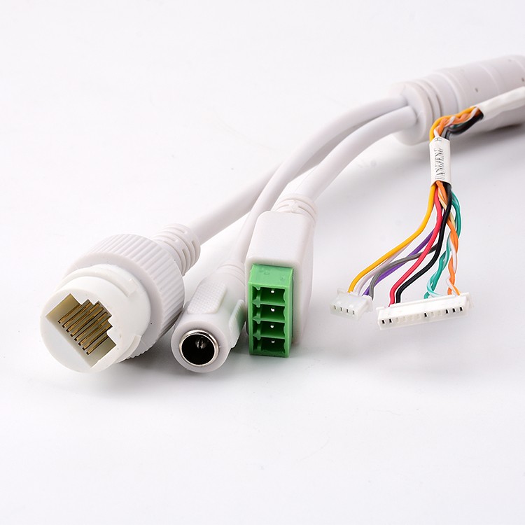IPC network port power cord