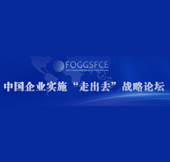 第十届中国企业实施走出去战略论坛