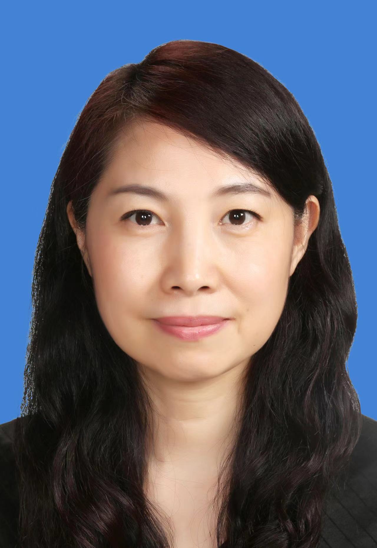 苗  力