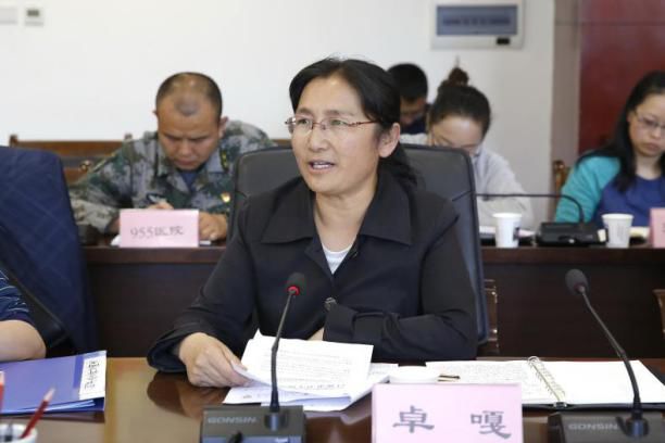 中国留学人才发展基金会洛隆县大骨节病社会服务公益项目综述