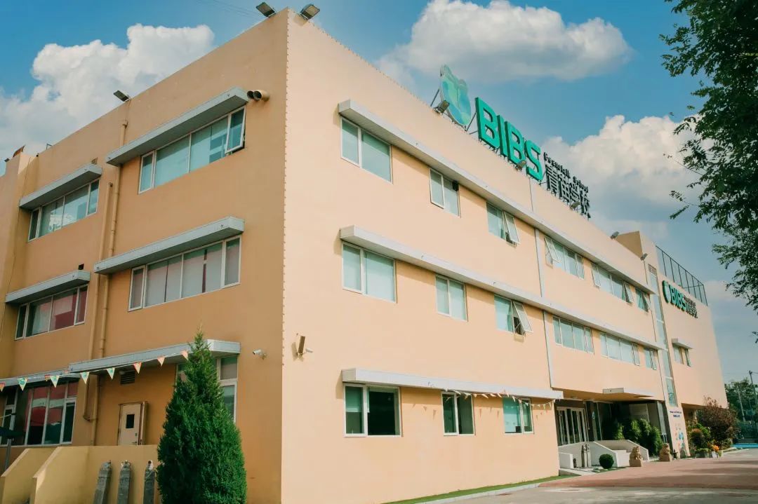国际学校=数学不好，是真的吗？Math at International School