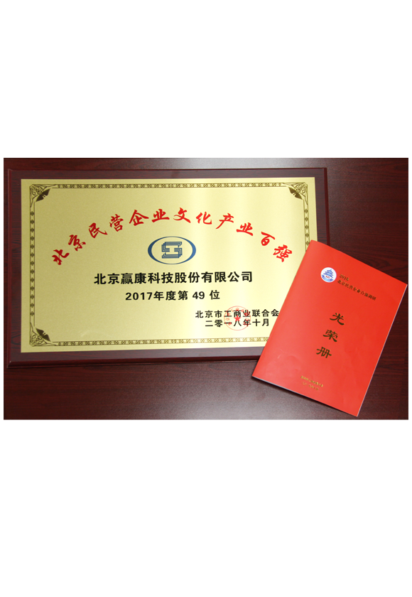 北京民营企业文化产业百强