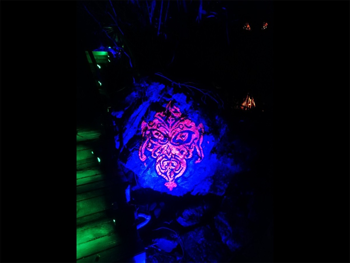 四川巴中光雾山景区“梦境光雾山”夜游项目