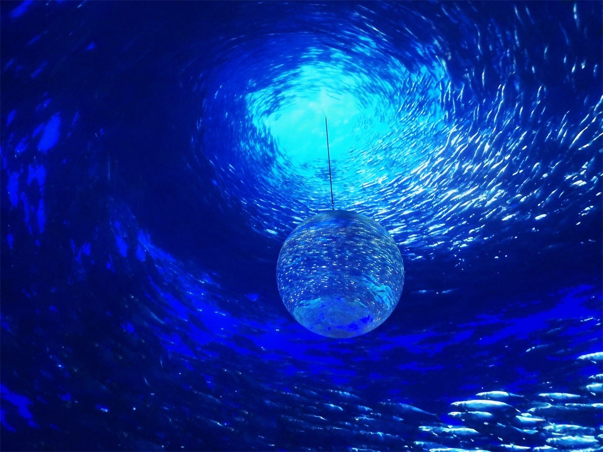 上海海昌公园天幕影院投影