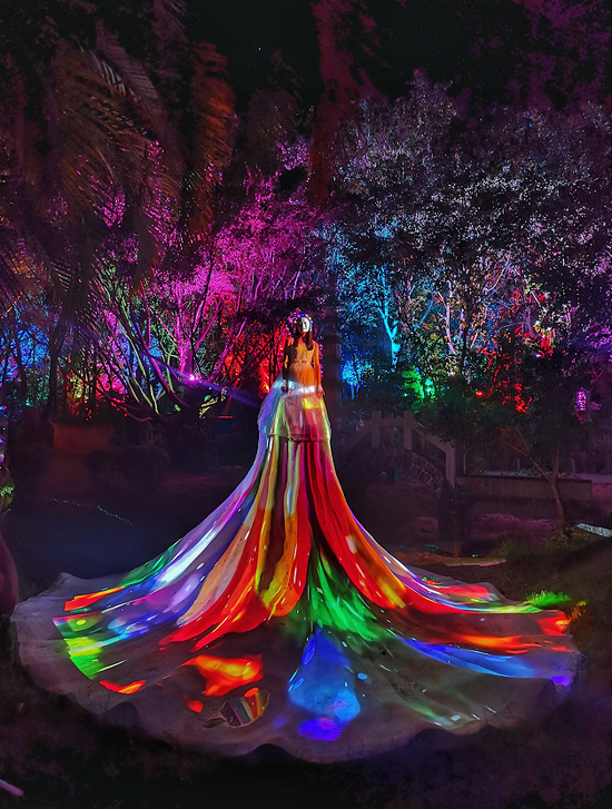 夜游东南花都，赢康投影点亮花仙世界