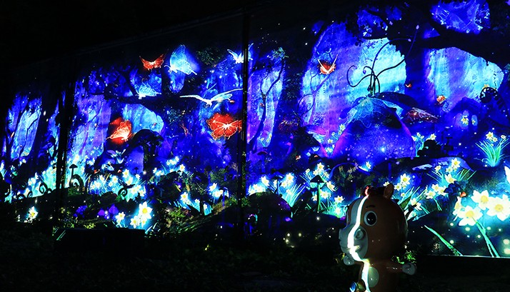 夜游东南花都，赢康投影点亮花仙世界