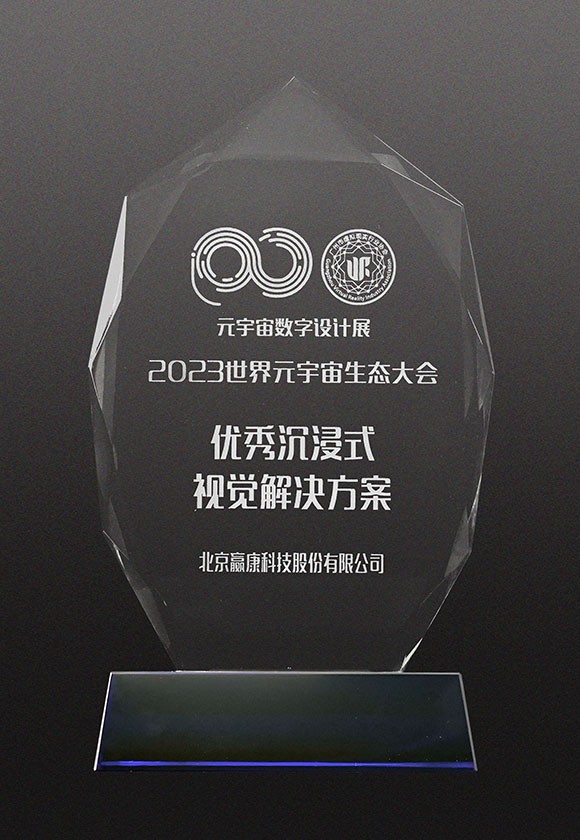 优秀沉浸式视觉解决方案奖