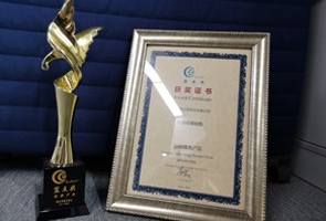 Landian Award