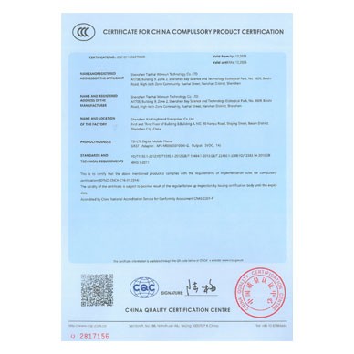 进网三证证书 GR37 CCC 英文证书