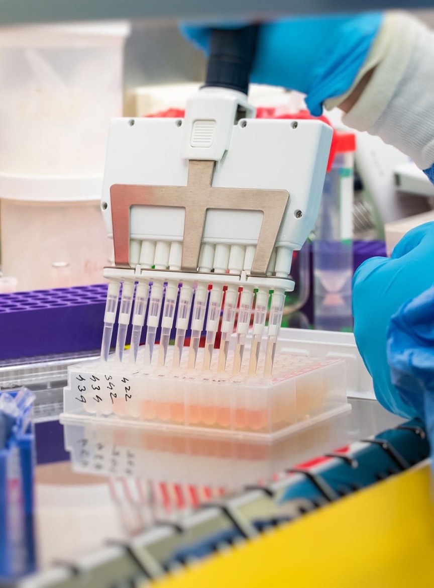 Mammalian Cell Expression