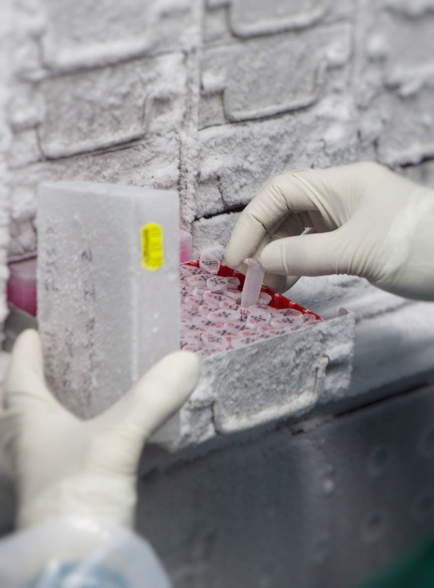  Recombinant Protein Products