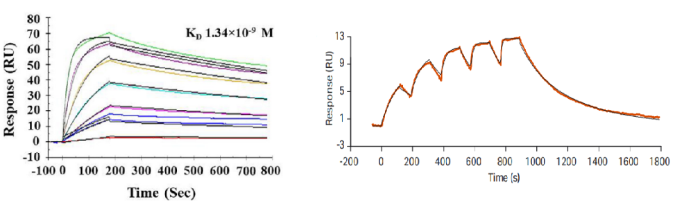 SPR特点: SPR特点: