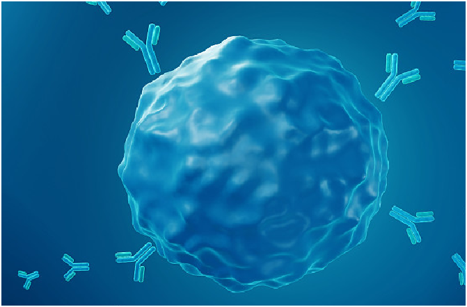 Recombinant antibody expression services