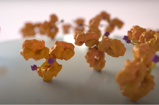 抗体偶联药物ADC时代的到来（内附ADC对照产品推荐）