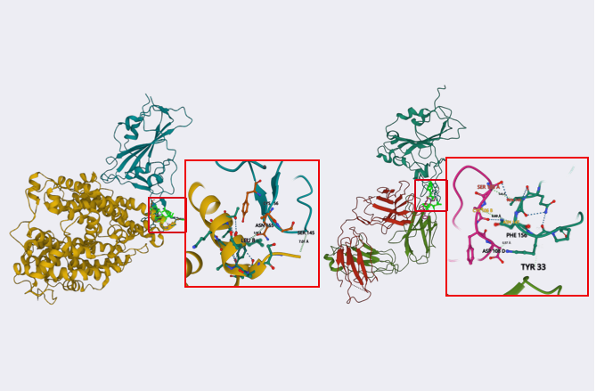 Case：the birth of a rabbit monoclonal neutralizing antibody