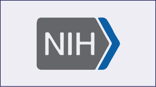 NCBI-Sequence alignment and query