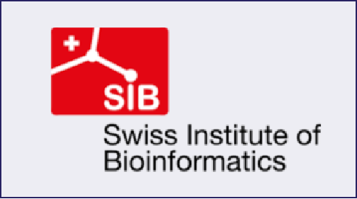 swiss model-Protein structure prediction