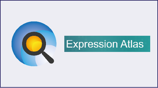 Query the tissue distribution of protein in different species