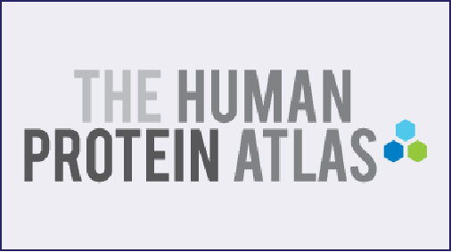 HPA-rotein expression distribution query