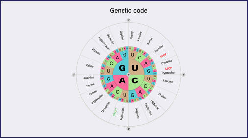 Base/amino acid sequence processing