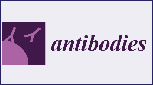 Single B cell rabbit mAb-Point mutation antibody development