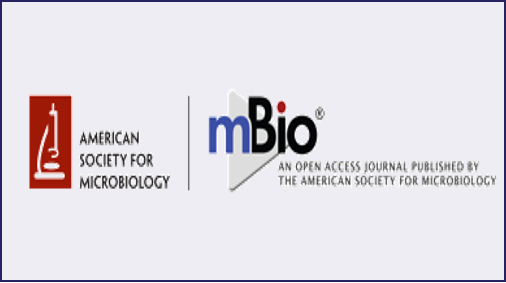 Single B cell rabbit mAb-virus neutralizing antibody