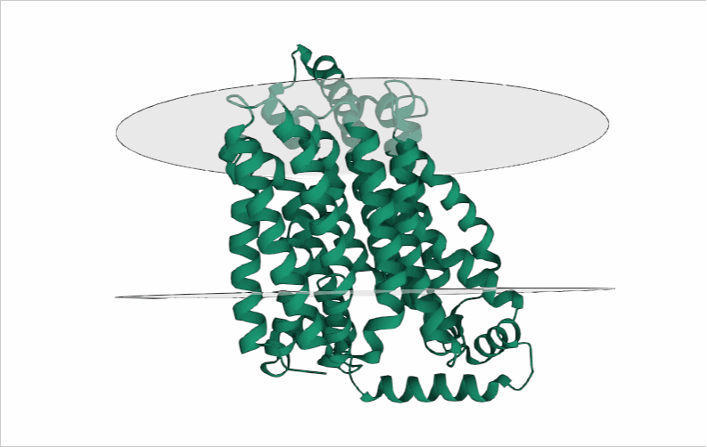 转运蛋白超家族:SLC 转运蛋白超家族:SLC