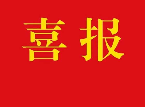【喜报】齐河恒晟公司中标齐河县“四好农村路”提质增效专项行动2023年道路修建工程