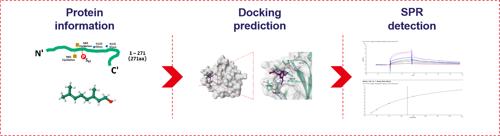 Target protein A & small molecule