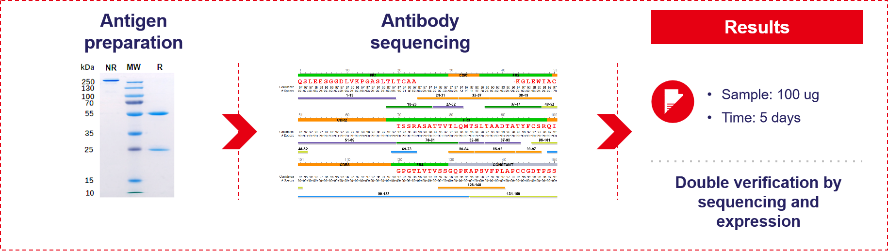 Antibody A