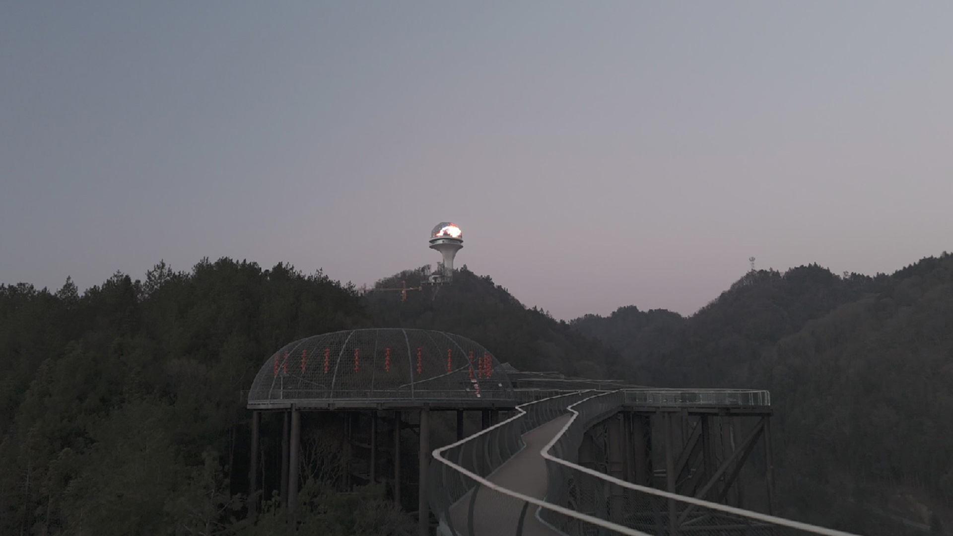 成功事例