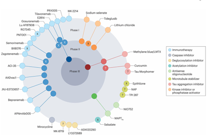The target of Microtubule-Associated Protein Tau MAPT