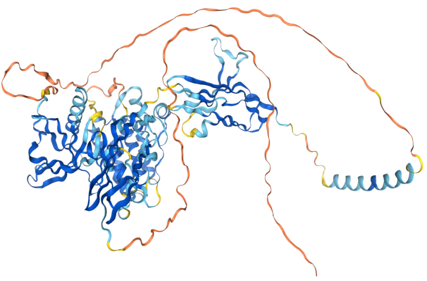 The target of Fibroblast growth factor receptor2 FGFR2