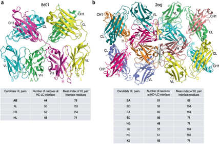 SAAINT-DB: a comprehensive structural antibody database for antibody modeling and design