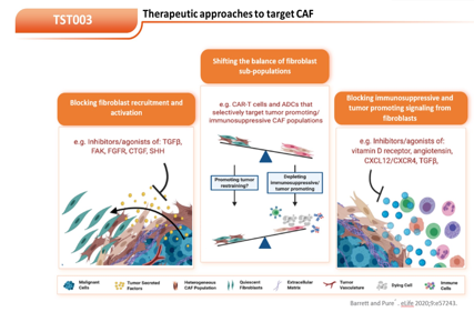 Bone morphogenetic protein antagonist GREM1