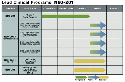 Multifunctional cell adhesion and signaling molecule CEACAM6