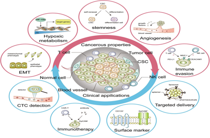 Tumor immune escape promoting factor EpCAM