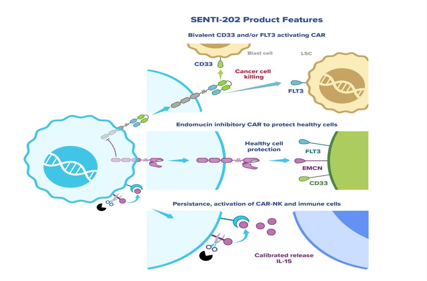 Target of treatment for acute myeloid leukemia FLT3