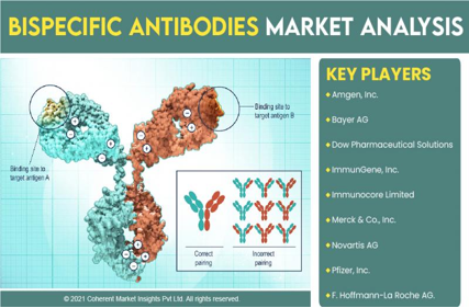Bispecific antibody heavy and light chain matching design