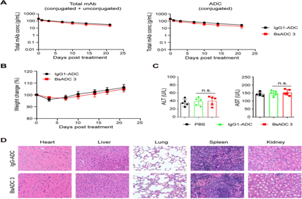 Development of bispecific antibody-drug conjugates targeting EpCAM and CLDN3
